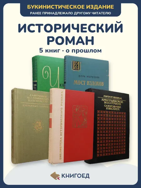 Книгоед исторические романы Теккерей Морозова Фурманов Гальдос