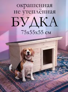 Домик будка для собак мелких пород уличный окрашенный, для кошек, конура, до 45см в холке, размер 75х55х55см