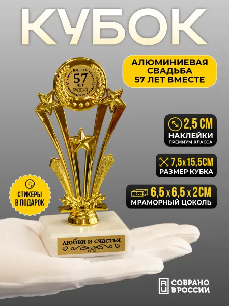 Сувенир Сувениров Кубок алюминиевая свадьба 57 лет вместе