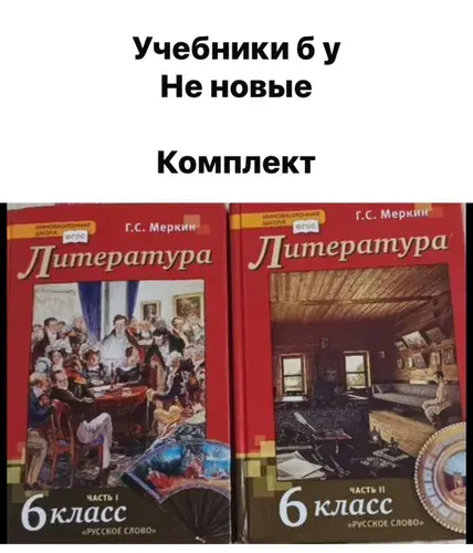 Литература 6 класс Меркин Б У учебники комплект | Книга б/у