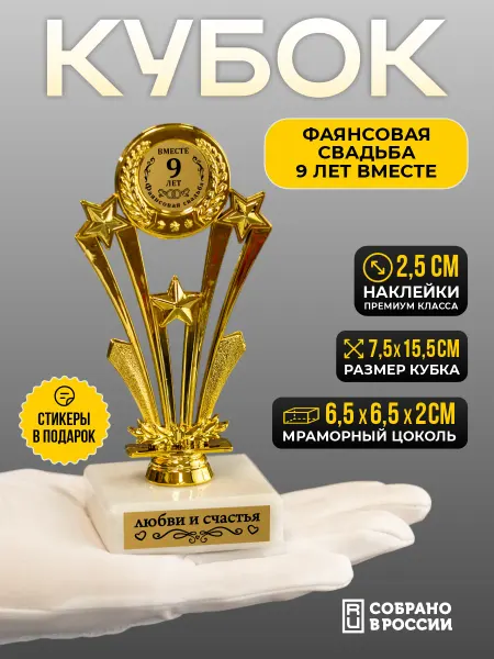 Сувенир Сувениров Кубок фаянсовая свадьба 9 лет вместе