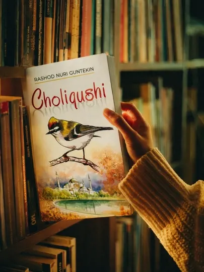 Чоликуши — Решад Нури Гюнтекин | Классический роман | Мягкая обложка