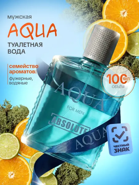 Today parfum Туалетная вода мужская свежесть Absolute Aqua 100мл