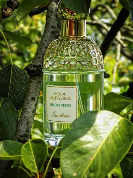 Королева духов Guerlain Aqua Allegoria Limon Verde духи женские