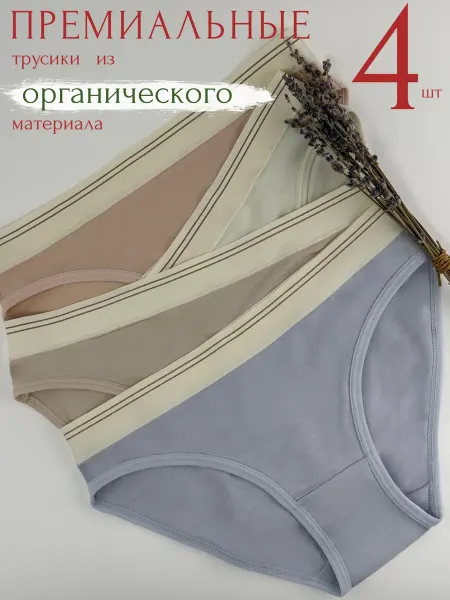 Lotus Art. Трусы набор слипы модал