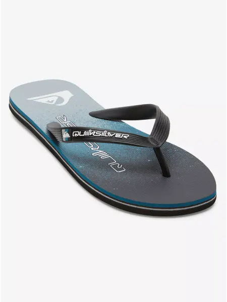 Quiksilver Шлепанцы MOLOKAI ART II SNDL XKBS