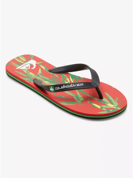 Quiksilver Шлепанцы MOLOKAI ART II SNDL XKRK