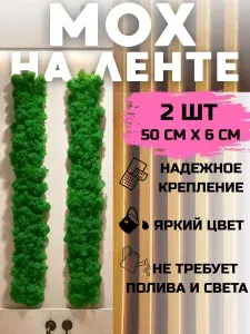 Мох стабилизированный для декора, панно из мха на стену, мох на ленте 10 шт