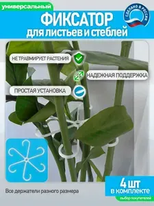 Фиксатор опора для цветов, растений и кустов комнатных и садовых, шпалера, держатель для стеблей, прозрачный, кустодержатель