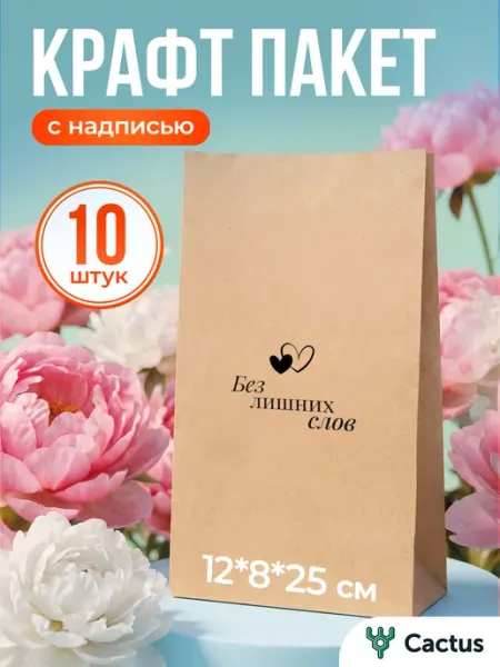 Cactus* Крафт пакеты подарочные с надписью 10 шт