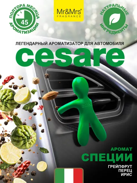 Mr&Mrs Fragrance Ароматизатор в машину Cesare Специи