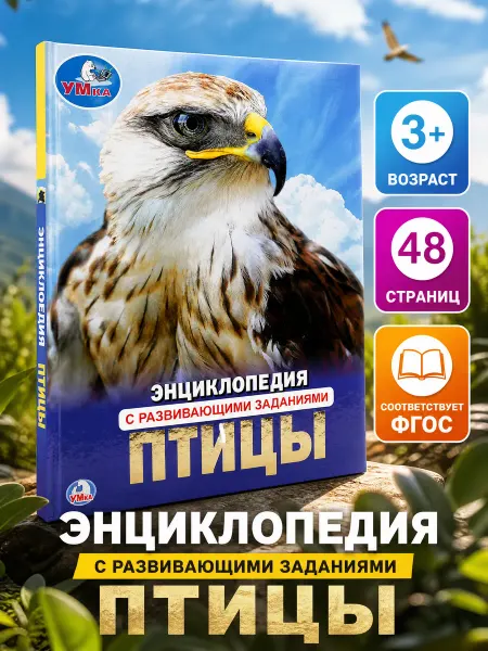 Умка Энциклопедия для детей птицы развивающая книга для школьника