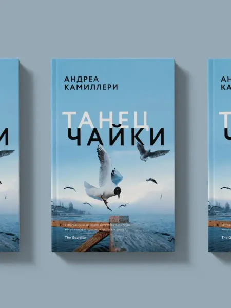 Издательский Дом Мещерякова Интеллектуальный детектив. Танец чайки
