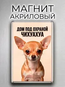 Магнит на холодильник "Дом под охраной Чихуахуа" - сувенир с собакой, подарок собачнику