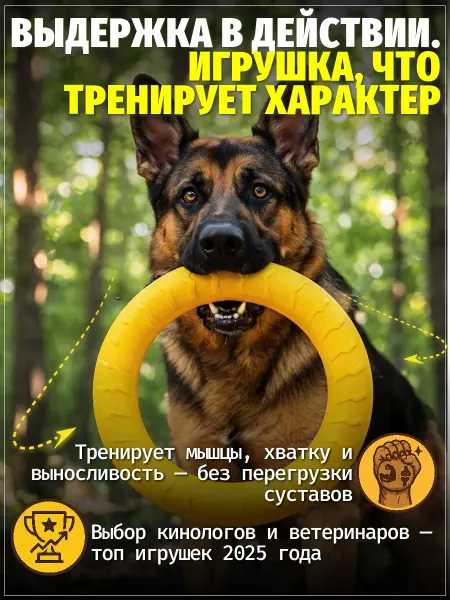 ЗООГЕНИЙ Кольцо пуллер для собак, игрушка для дрессировки