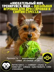 Нюхательный мяч для собак и кошек интерактивная игрушка для лакомств и дрессировки (зеленый)