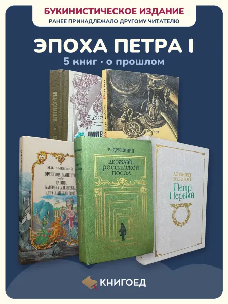 Книгоед исторические романы Шевченко Федоров Семевский Дружинин