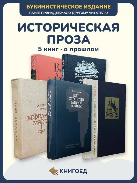 Книгоед исторические романы Скотт Понсон Дюма Черняк Касаткина