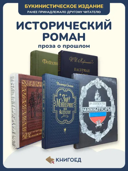 Книгоед Исторические романы Фейхтвангер Лажечников Дюма Скотт