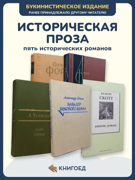 Книгоед Исторические романы Форш Фейхтвангер Чапыгин Дюма Скотт