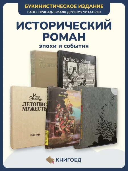 Книгоед исторические романы Олесь Сабатини Эренбург Езерский