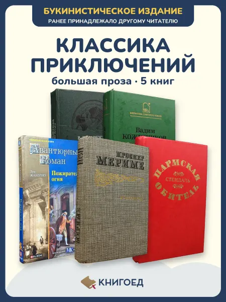 Книгоед Исторические романы Нарежный Кожевников Жаколио Проспер