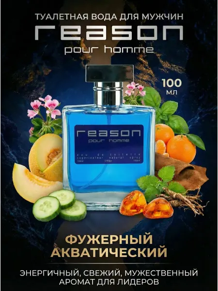 ПонтиПарфюм Туалетная вода мужская "Reason pour homme" 100мл духи