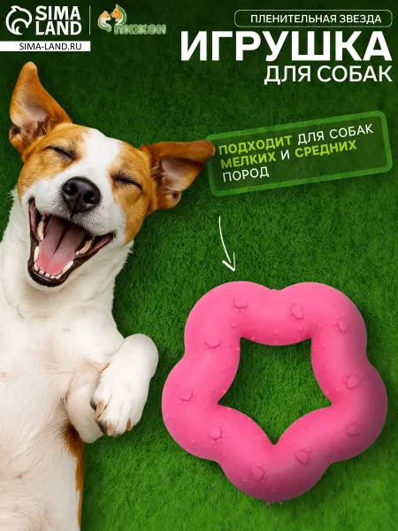 Пижон Игрушка жевательная резиновая Звезда для собак