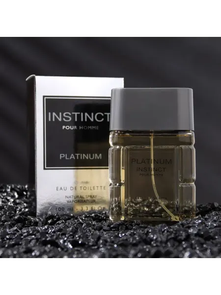 Instinct Туалетная вода мужская Platinum, 100 мл (по мотивам