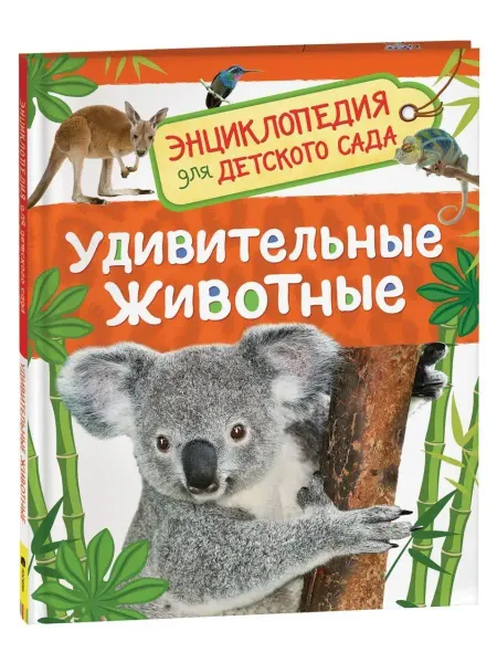 РОСМЭН Книга Удивительные животные. Энциклопедия для детского сада