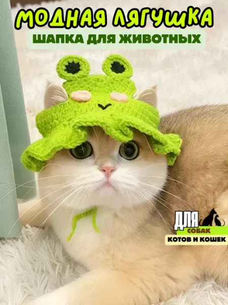 Шапки для животных Шапка для кота кошки и маленьких собак Лягушка