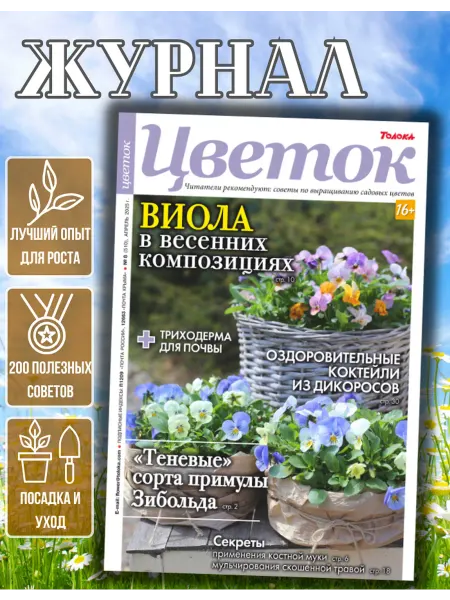 Цветок журнал о садовых цветах №8.Лучшие сорта примулы для тени