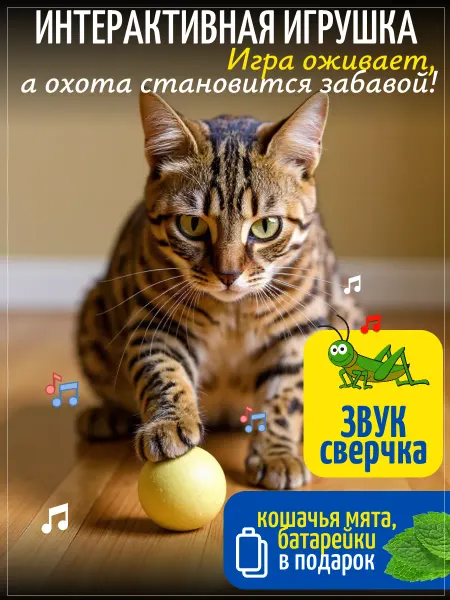 ЗООГЕНИЙ Игрушка для котят и щенков интерактивный мяч со звуком