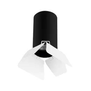 Потолочный светильник Rullo Lightstar R437436