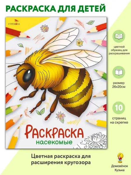 Издательство Стрекоза Насекомые. Раскраска Окружающий мир