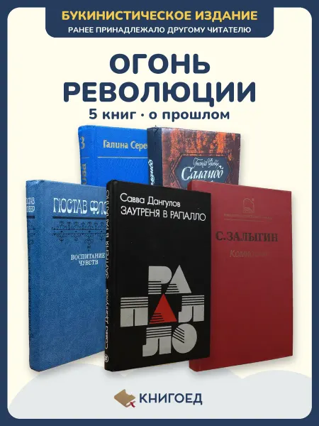 Книгоед Исторические романы Серебрякова Флобер Майофис Савва