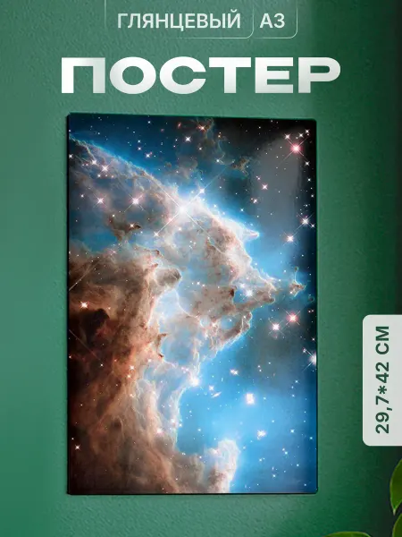 Partner Project Плакат Космомс