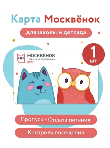 Карта Москвенок, пропуск в школу "Кот и сова", электронная карта школьника
