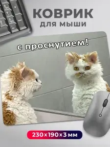 Коврик для мышки с приколом мем котик С проснутием!