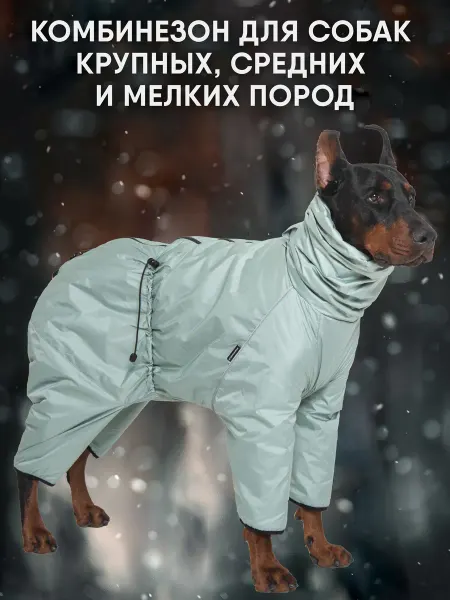 МОНМОРАНСИ Комбинезон для собак крупных средних малых пород