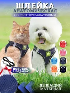 Шлейка с поводком для собак мелких и средних пород и кошек