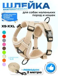 Шлейка для собак мелких пород и средних пород и кошек / бежевый / XL