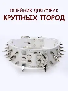 Ошейник с шипами для собак крупных и средних пород