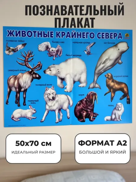 ЛИНГ Развивающий плакат А2 для детского сада и школы Животные