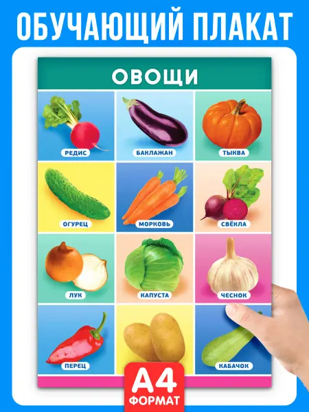 НАДО БРАТЬ ! Обучающий плакат Овощи А4