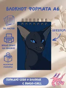 Блокнот А6 "Коты воители"