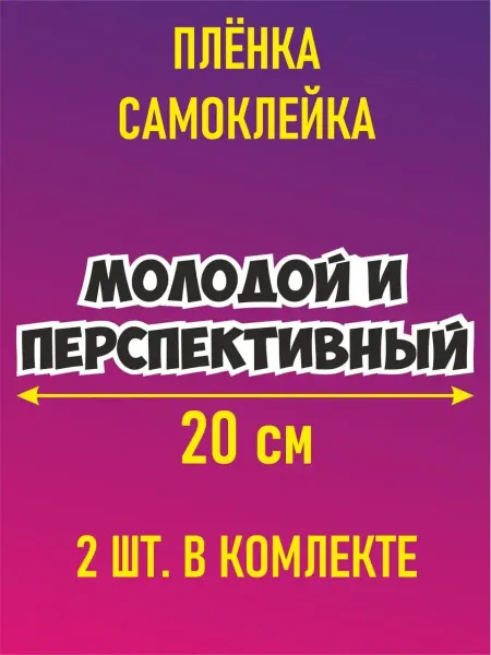 Наклейки и таблички Наклейка надпись для авто мото молодой и перспективный