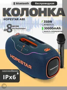 Колонка музыкальная беспроводная с микрофоном караоке СИНИЙ