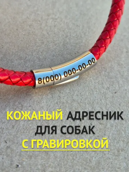 СУПЕР-МУРКЕТ Адресник для собаки с гравировкой, именной ошейник шнурок