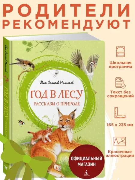 Издательство Махаон Соколов-Микитов. Год в лесу. Внеклассное чтение